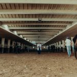 Comunicado del Servicio Veterinario del Hipódromo de Palermo