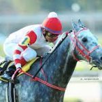 El Sábado se corre el Gran Premio de Honor (G1) con Miriñaque como figura estelar.